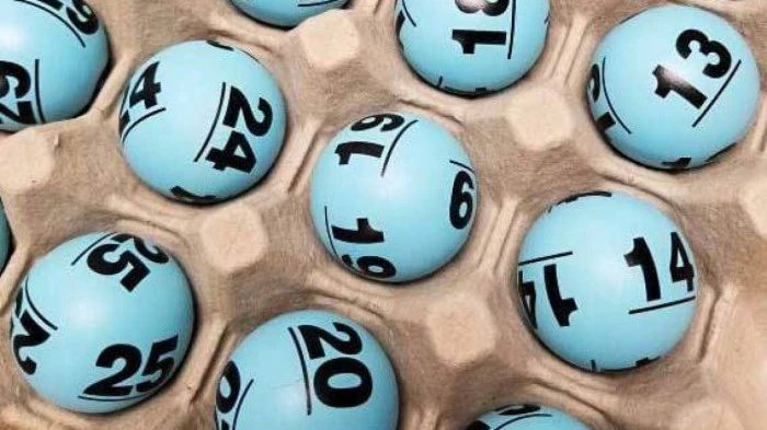 Khám Phá Thế Giới F8Pet: Điểm Đến Lý Tưởng Cho Thú Cưng Của Bạn